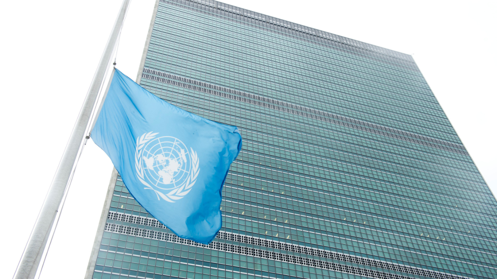 Poder360 – ONGs acionam ONU contra decisão do Senado sobre aborto legal de menores
