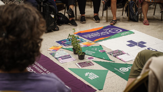 Foto do centro de uma roda onde vê-se bandeiras de movimentos sociais e políticos, além de lenços verdes, mudas de arruda e materiais informacionais como panfletos e flyers.