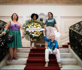 Natália Elmor Foto na escadaria interna da Câmara dos Vereadores do Rio de Janeiro, que tem um tapete vermelho e corrimãos pretos. As ativistas Mariane Marçal, Laura Molinari e Tatianny Araújo estão em pé com uma coroa de flores e Angela Freitas está sentada nos degraus.