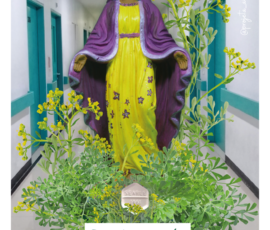 ana c - Nossa Senhora do Aborto Seguro, Rio Grande do Sul, Brasil, 2026. Pintura em gesso | Fotografia | Colagem digital.